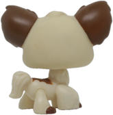 #0385 Chihuahua